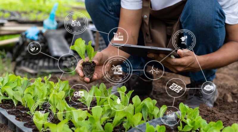 Der grüne Daumen wird digital Mit smarter Technologie zum perfekten